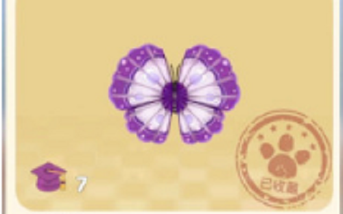 91短视频