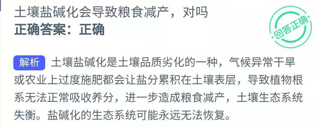 重返帝国荣耀之路中期结算是什么