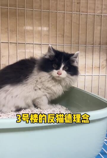 《微信》图标换成别的图标方法介绍