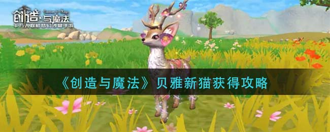 爱租机