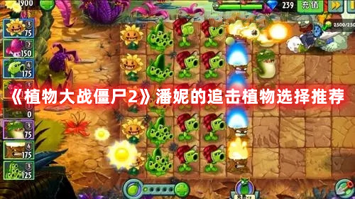 《奥拉星手游》康古塔第十层打法攻略