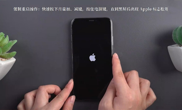 重返帝国女帝头像图片高清图