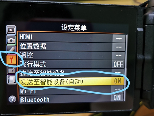 抒发森林