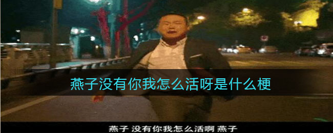 《蛐蛐也疯狂》锦龙相培养攻略