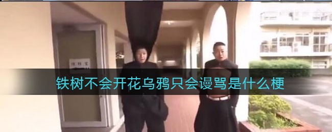 re05cc快猫视频app