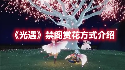光遇禁阁赏花在哪里 光遇禁阁赏花位置