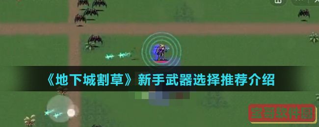 武娘外传官网地址 武娘外传官网指路