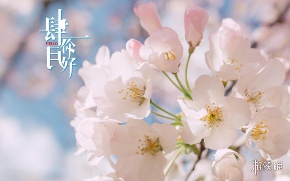 607a.t∨下载
