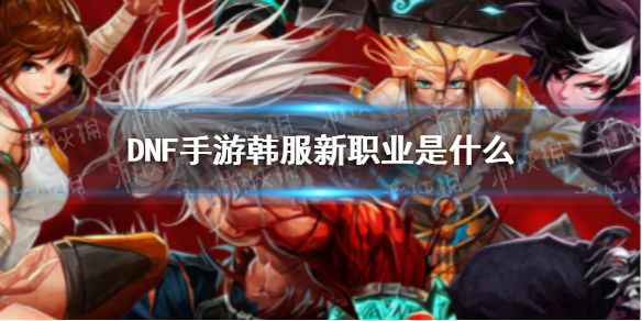 苹果12怎么设置每次拨号选择