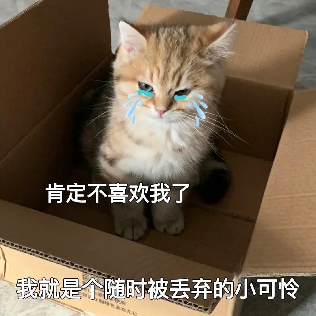 密洞app
