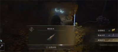 抒发森林