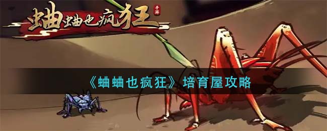 91短视频