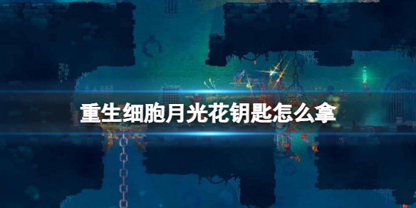拼多多收货地有疫情商家无法发货的解决办法