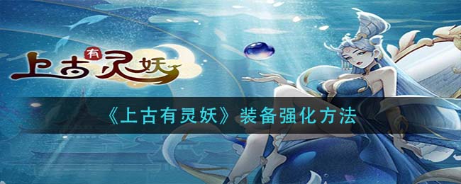 模特直播app