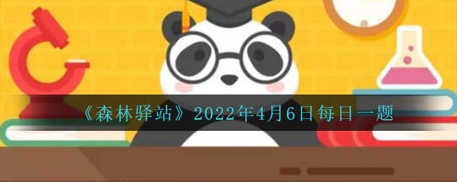 《光遇》4月6日大蜡烛位置一览2022