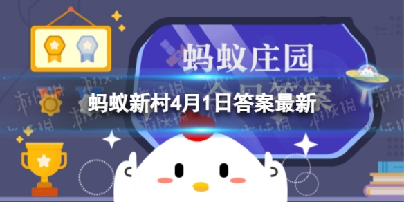 91短视频