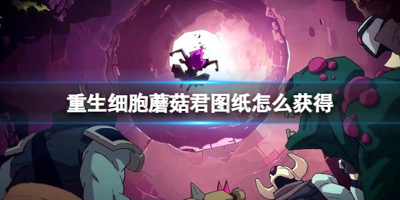 re05cc快猫视频app