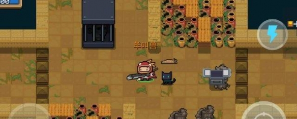 新车牌什么时候启用(各地发放时间不一样)
