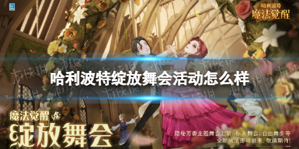 荣耀magic4是什么系统