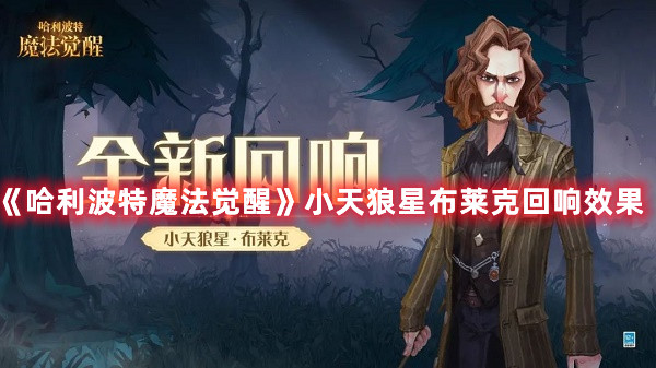 恶魔秘境英雄排行