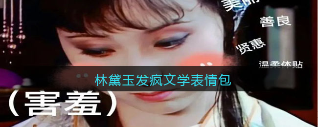 密洞app