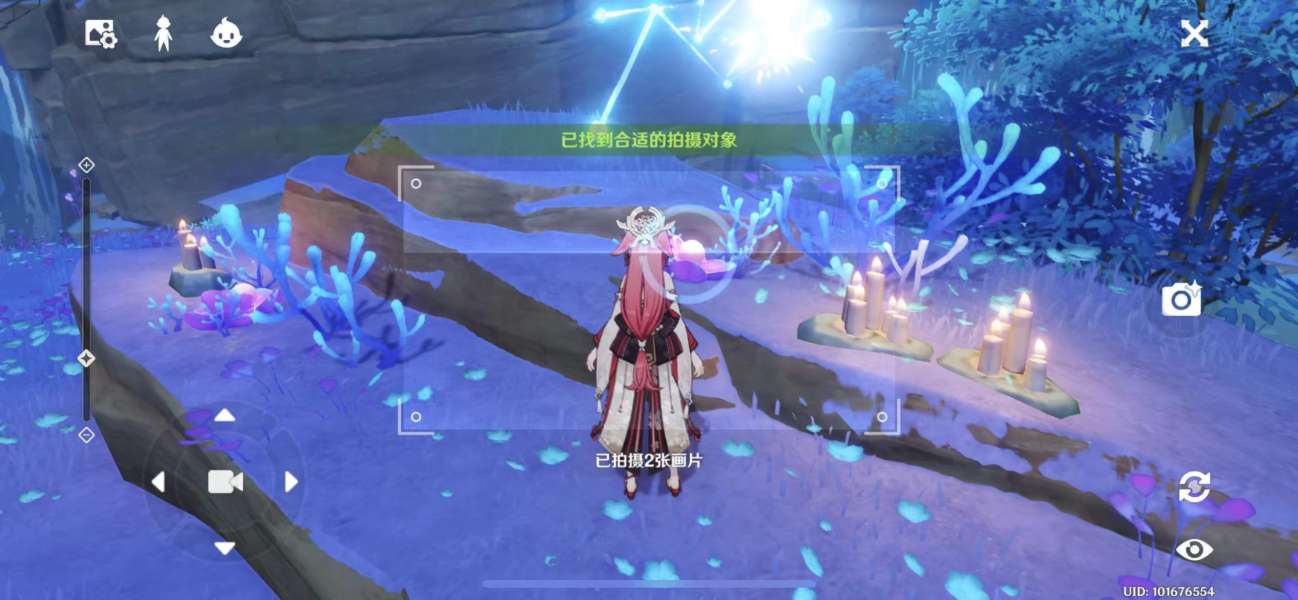 抒发森林
