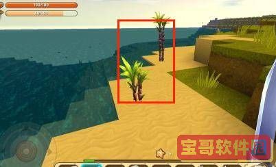 苹果手机有自带检测摄像头吗