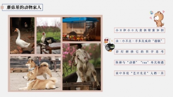 《淘宝》添加支付宝好友方法