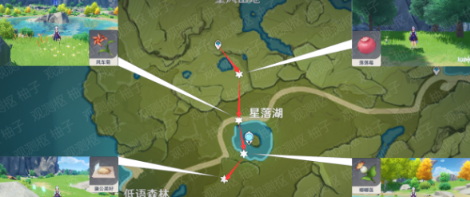 支付宝核酸检测怎么显示全名