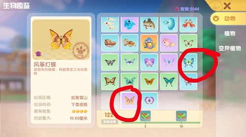 91短视频