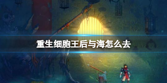 范冰冰娱乐圈的公交车是什么意思(范冰冰为什么是范公交)