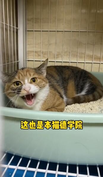 《微信》图标换成别的图标方法介绍