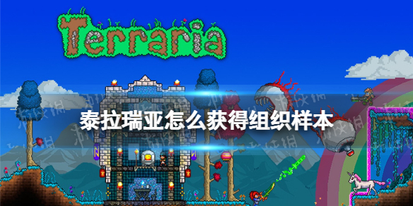 爱租机
