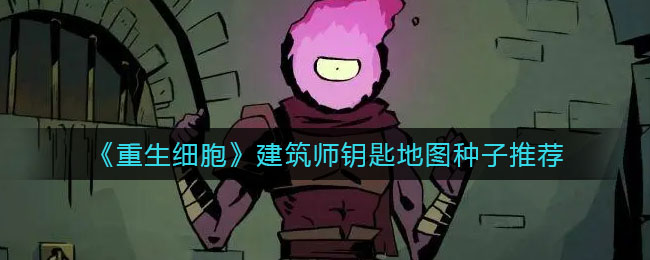 大毛视频下载