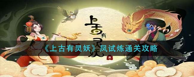 fv车牌代表什么意思(fv车牌身价一般多少钱)