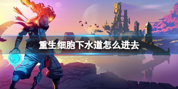 2022msi举办地 2022msi将在韩国举办