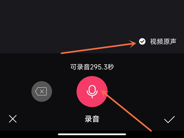 向华胜老婆是什么名字(向华胜老婆端木樱子的资料)