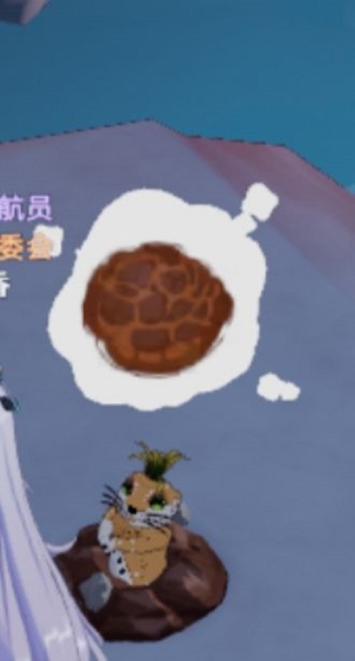 张庭夫妇TST庭秘密被认定为传销 张庭夫妇品牌认定是传销