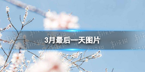 车辆年检流程及费用是多少？