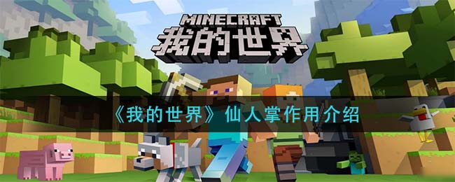mt.t∨模特直播app