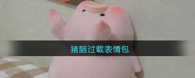 B站硬核会员题库大全 2022B站硬核会员答题答案汇总
