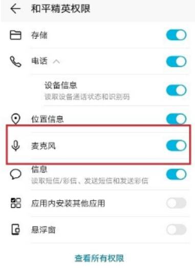 王者荣耀公孙离去掉所有服装不遮挡