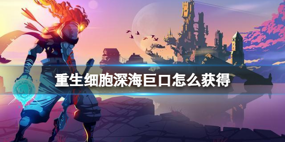 re05cc快猫视频app