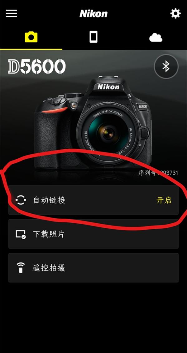 抒发森林