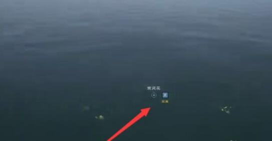 郭曦文演过什么电视(郭曦文真的是演员吗)