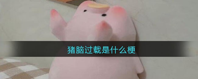 春水堂新版app