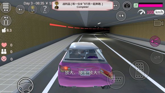 91次元苹果轻量版