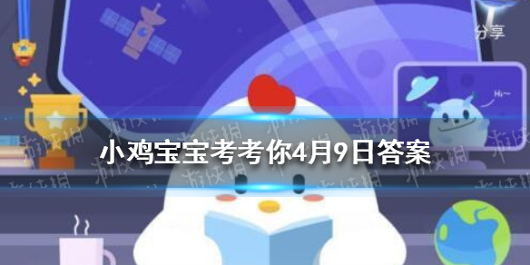 ytplus.co