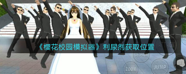 冲浪自行车赛