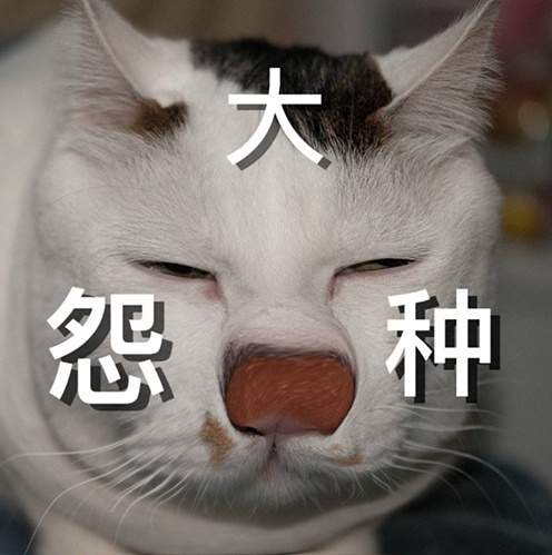 蜜语尤香app